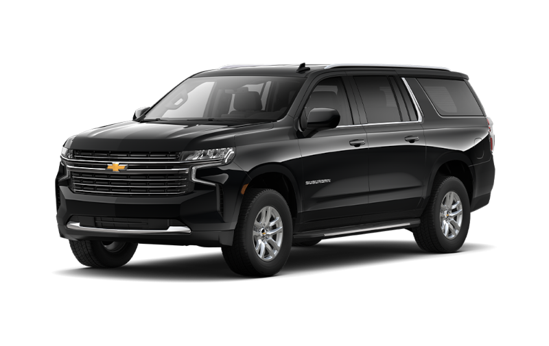Lyon delegation chauffeur